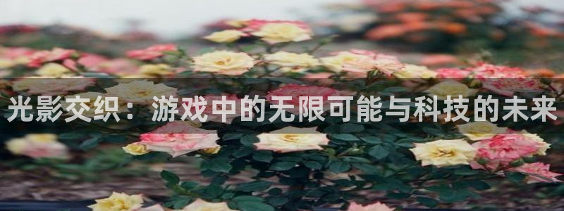 星欧娱乐娱乐：光影交织：游戏中的无限可能与科技的未来