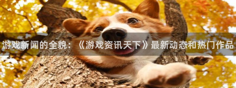 星欧娱乐登录：游戏新闻的全貌：《游戏资讯天下》最新动态和热门