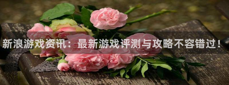 星欧娱乐平台：新浪游戏资讯：最新游戏评测与攻略不容错过！