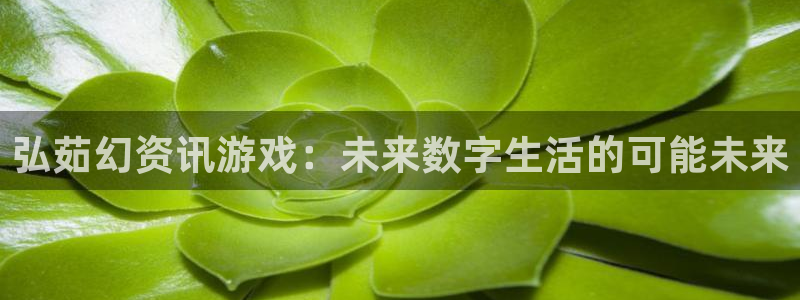 星欧娱乐网址官网：弘茹幻资讯游戏：未来数字生活的可能未来