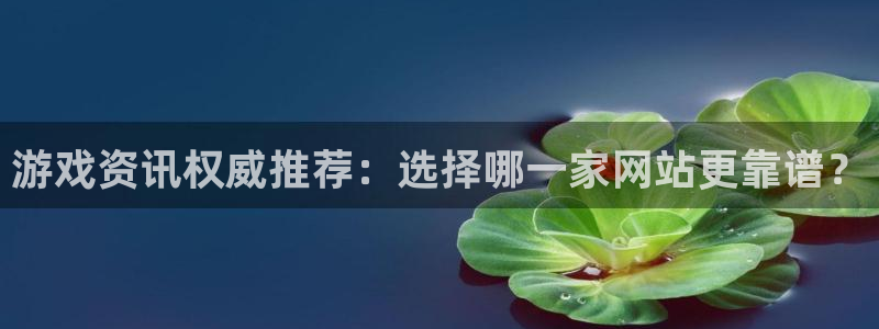 星欧娱乐网页登录入口官网：游戏资讯权威推荐：选择哪一家网站更