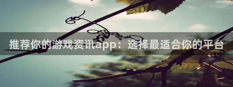 星欧娱乐平台注册资金多少：推荐你的游戏资讯app：选择最适合