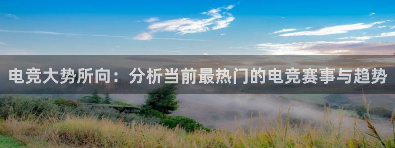 星欧娱乐平台负责人：电竞大势所向：分析当前最热门的电竞赛事与