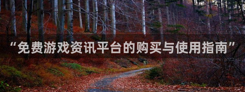 星欧娱乐注册服务条款：“免费游戏资讯平台的购买与使用指南”