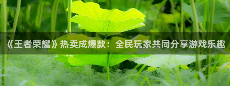 星欧娱乐平台负责人：《王者荣耀》热卖成爆款：全民玩家共同分享