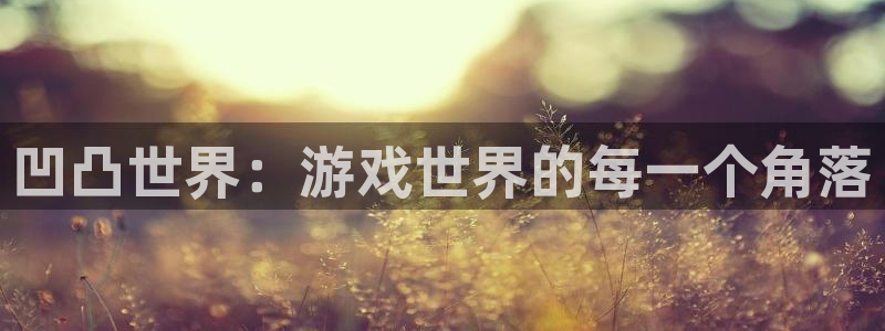 星欧娱乐的意思：凹凸世界：游戏世界的每一个角落