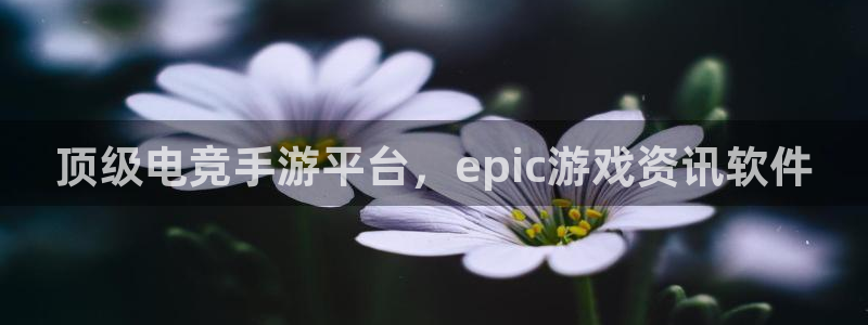 星欧娱乐网址注册：顶级电竞手游平台，epic游戏资讯软件