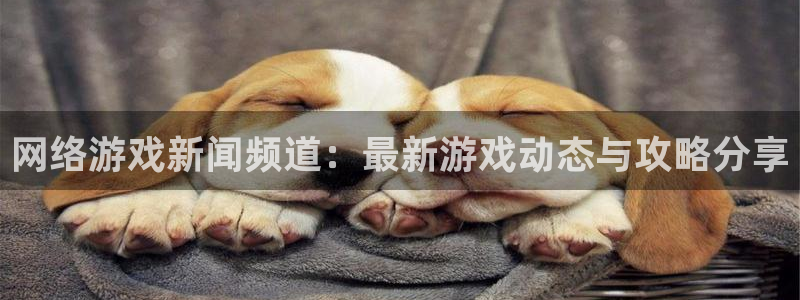 星欧娱乐是什么：网络游戏新闻频道：最新游戏动态与攻略分享